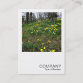 Square Photo 083 – 公園の水仙 名刺 (正面)