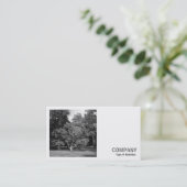 Square Photo (v2) – 木，ブートパーク，カーディフ 名刺 (スタンド正面)