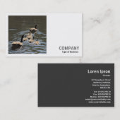 Square Photo (v2) - Canada Geese with Goslings 名刺 (正面/裏面)