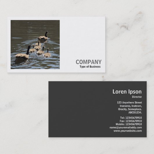 Square Photo (v2) - Canada Geese with Goslings 名刺 (正面/裏面)