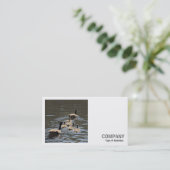 Square Photo (v2) - Canada Geese with Goslings 名刺 (スタンド正面)