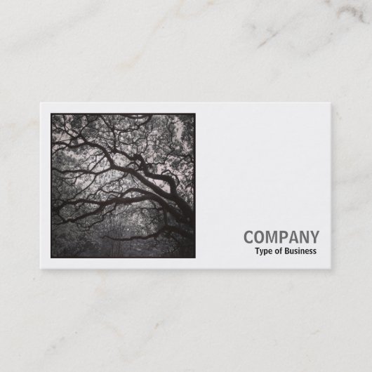 Square Photo (v2) - Magnolia Tree in Blossom 01 名刺 (正面)