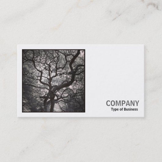 Square Photo (v2) - Magnolia Tree in Blossom 03 名刺 (正面)