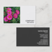 Square Photo (v2) - Michaelmasのデイジー 名刺 (正面/裏面)