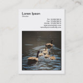 Square Photo (v3) – カナダのゲーゼとゴスリング 名刺 (裏面)