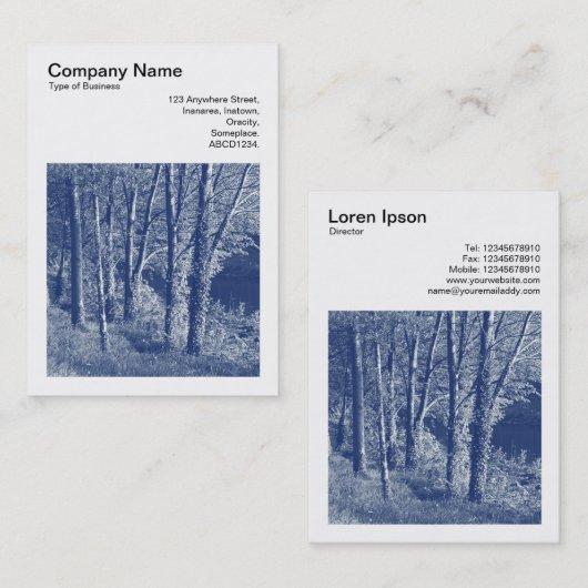 Square Photo (v3) – 川の木 – Cyanotype 名刺 (正面/裏面)