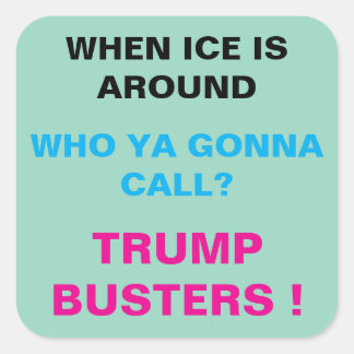 Square Stickers, sheet of six 3 inch stickeSticker スクエアシール