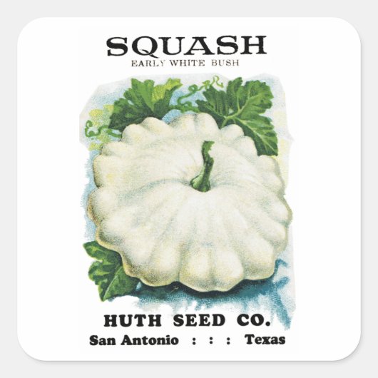 Squash Seedパケットラベル スクエアシール (正面)
