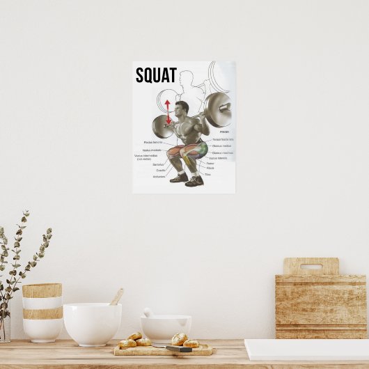 Squat – 筋肉図 – 解剖図 ポスター (キッチン)