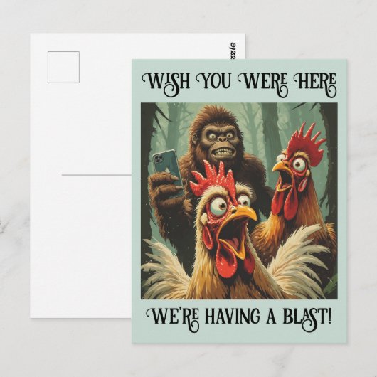 “Squawk & Snapshot” Cheesy Chicken ポストカード (正面/裏面)