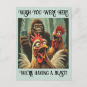 “Squawk & Snapshot” Cheesy Chicken ポストカード (正面)