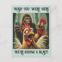 “Squawk & Snapshot” Cheesy Chicken ポストカード