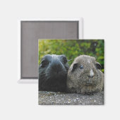 Squee & Scrufflesマグネット マグネット (正面/裏面)