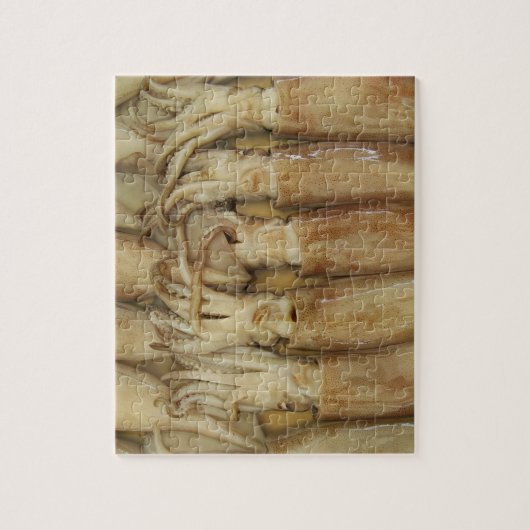 Squid - Calamari ジグソーパズル (縦)