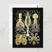 Squid & Octopus ポストカード (正面/裏面)
