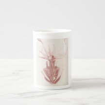 Squid Vintage Nautical