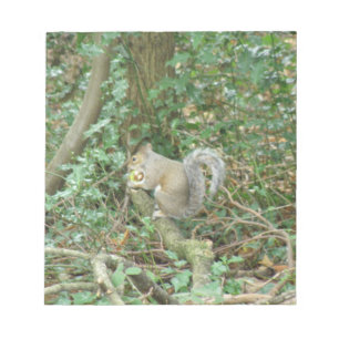 SquirrelとAcornメモ帳 ノートパッド