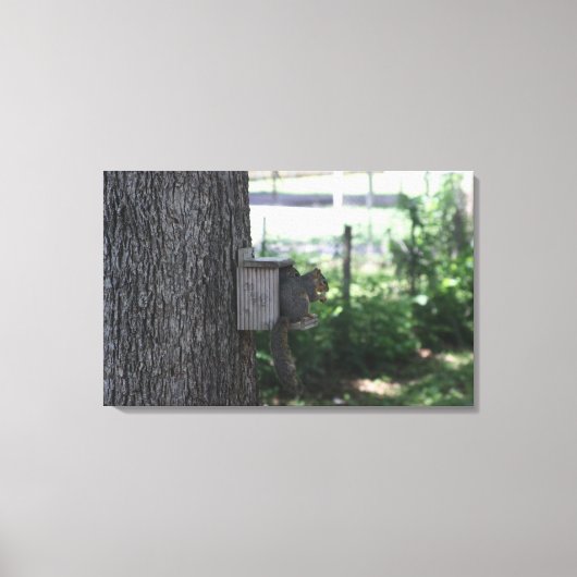 Squirrelキャンバス印刷 キャンバスプリント (正面)