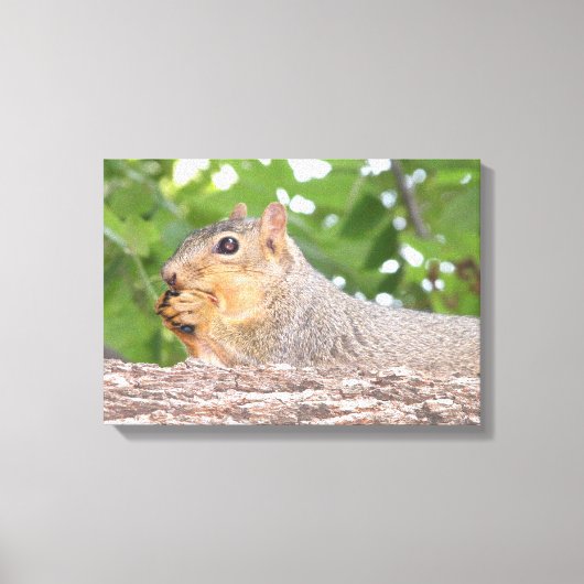 Squirrelキャンバス印刷 キャンバスプリント (正面)
