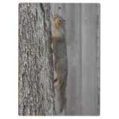 Squirrelクリップボード クリップボード (裏面)