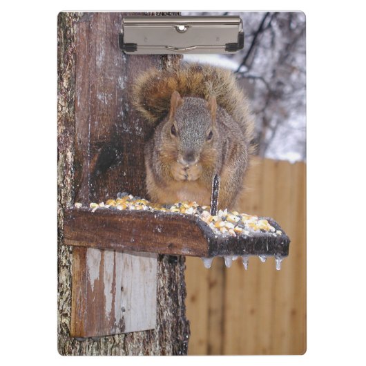 Squirrelクリップボード クリップボード (正面)