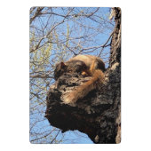 Squirrelクリップボード ミニクリップボード (裏面)