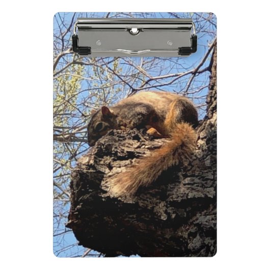 Squirrelクリップボード ミニクリップボード (正面)