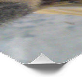 Squirrelクローズアップ完璧なポスター ポスター (コーナー)