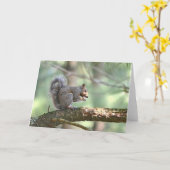 Squirrelノートカード カード (黄色い花)