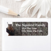 Squirrelファミリのアドレスの戻り値ラベル ラベル (インサイチュ)