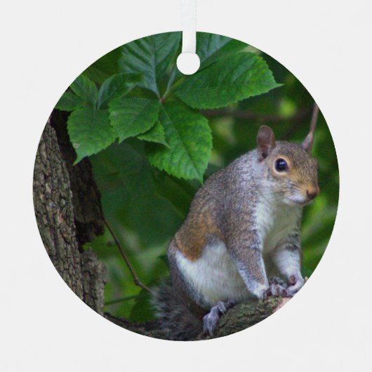 Squirrelフォトオーナメント メタルオーナメント (正面)