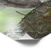 Squirrelフォトプリント フォトプリント (角)