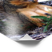 Squirrelフォトプリント フォトプリント (角)