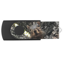 Squirrelフラッシュドライブ