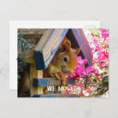 Squirrel私たちはポストカードを移動 ポストカード (正面/裏面)