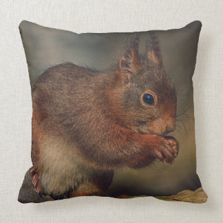 Squirrel クッション