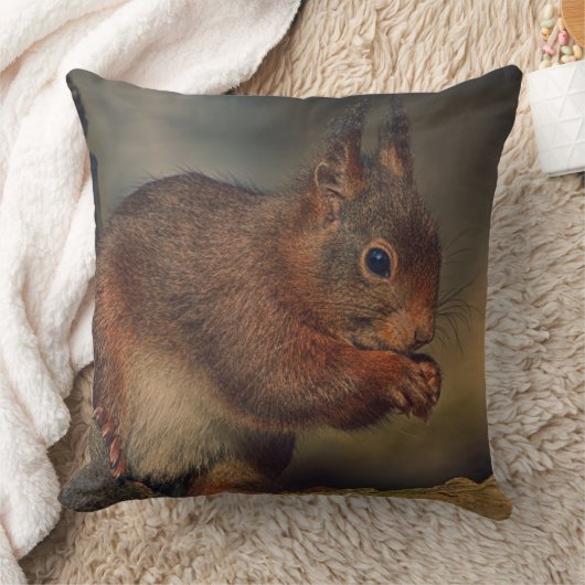 Squirrel クッション (ブランケット)