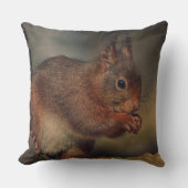 Squirrel クッション (正面)