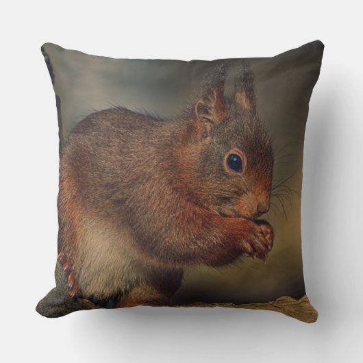 Squirrel クッション (正面)