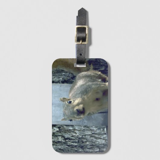Squirrel  ラゲッジタグ (正面縦)