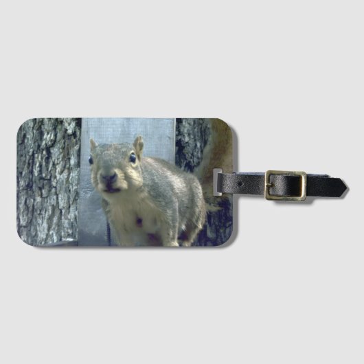 Squirrel  ラゲッジタグ (正面横)