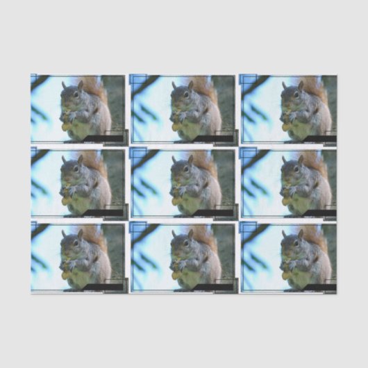 squirrel-13.jpg 薄葉紙 (正面)