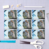 squirrel-13.jpg 薄葉紙 (クラフト)