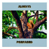 Squirrel Animal ポスター (正面)