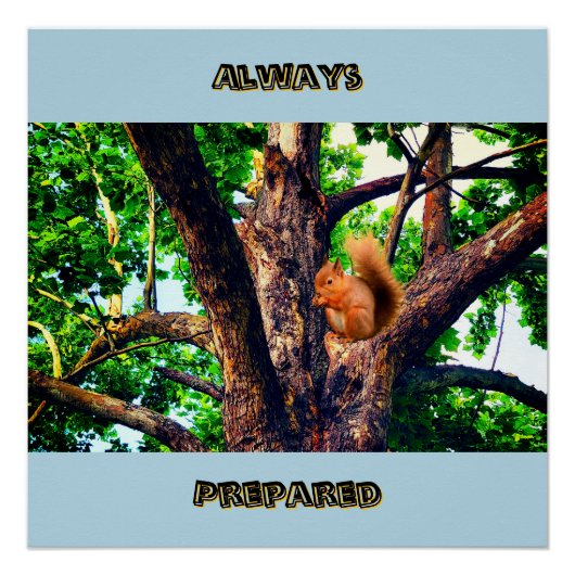 Squirrel Animal ポスター (正面)