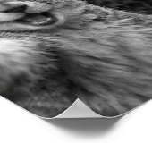 Squirrel Bigfoot Surprised Selfie ポスター (角)