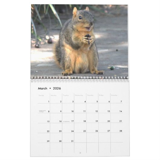 Squirrel Calendar 2022 カレンダー (3月 2026)