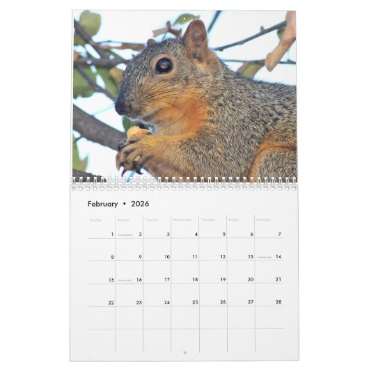 Squirrel Calendar 2022 カレンダー (2月 2026)