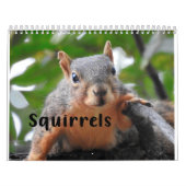 Squirrel Calendar 2022 カレンダー (カバー)