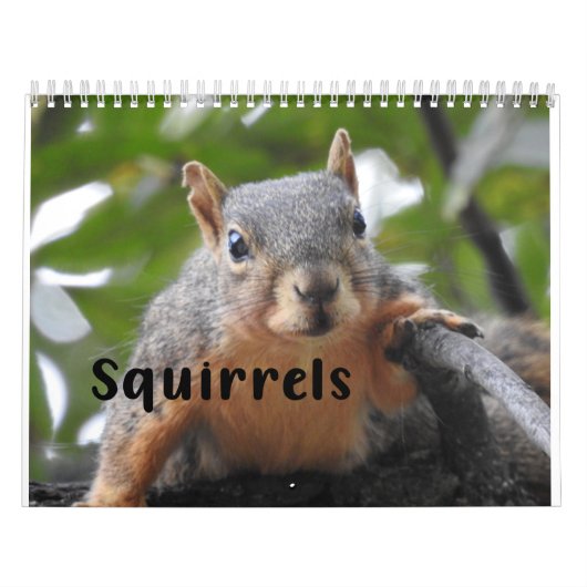 Squirrel Calendar 2022 カレンダー (カバー)